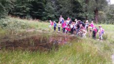 WhatsApp Image 2025-08-29 at 08.53.39 (1)