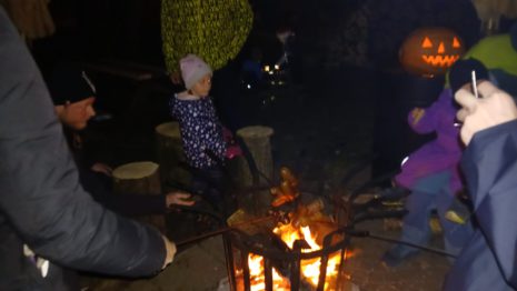 WhatsApp Image 2025-11-15 at 07.30.39