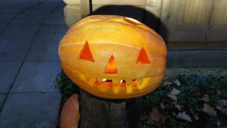 WhatsApp Image 2025-11-15 at 07.30.40 (1)