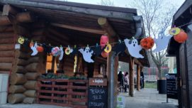 WhatsApp Image 2025-11-15 at 07.30.40 (2)